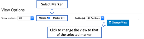 An example of the View options section in the Exams tool indicating how to change between markers